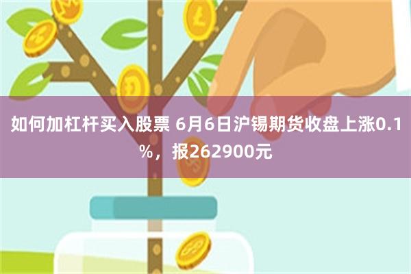 如何加杠杆买入股票 6月6日沪锡期货收盘上涨0.1%，报262900元