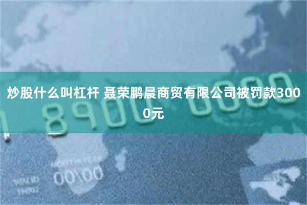 炒股什么叫杠杆 聂荣鹏晨商贸有限公司被罚款3000元