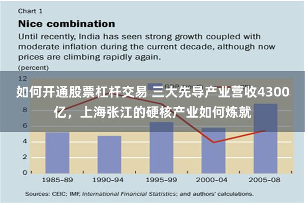 如何开通股票杠杆交易 三大先导产业营收4300亿，上海张江的硬核产业如何炼就