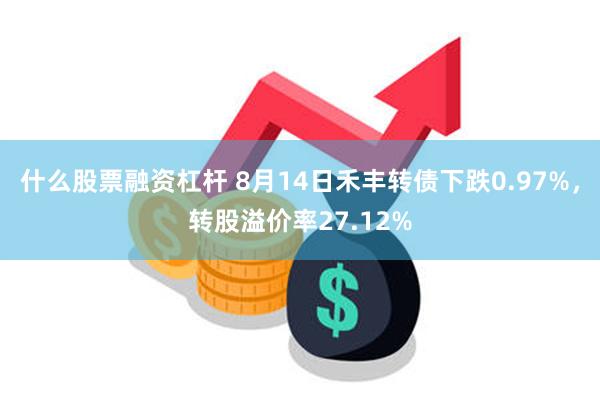 什么股票融资杠杆 8月14日禾丰转债下跌0.97%，转股溢价率27.12%