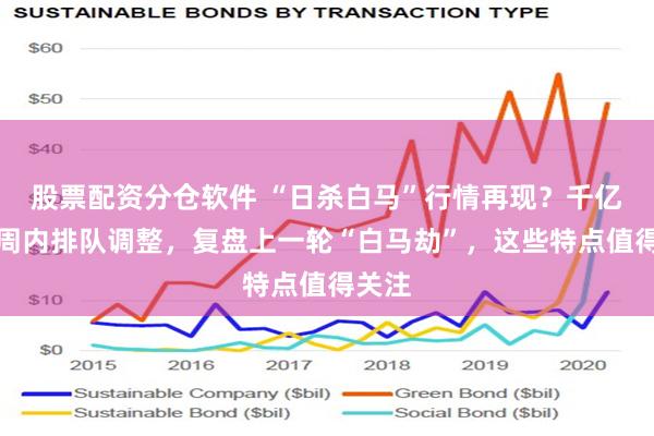 股票配资分仓软件 “日杀白马”行情再现？千亿龙头周内排队调整，复盘上一轮“白马劫”，这些特点值得关注