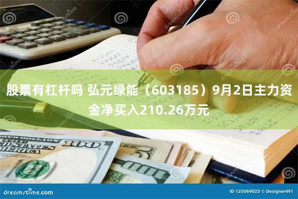 股票有杠杆吗 弘元绿能（603185）9月2日主力资金净买入