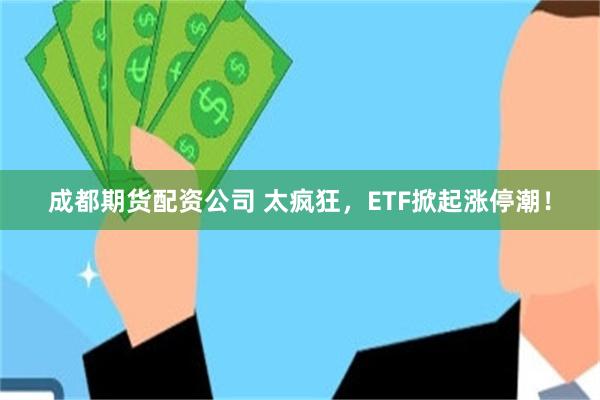 成都期货配资公司 太疯狂，ETF掀起涨停潮！