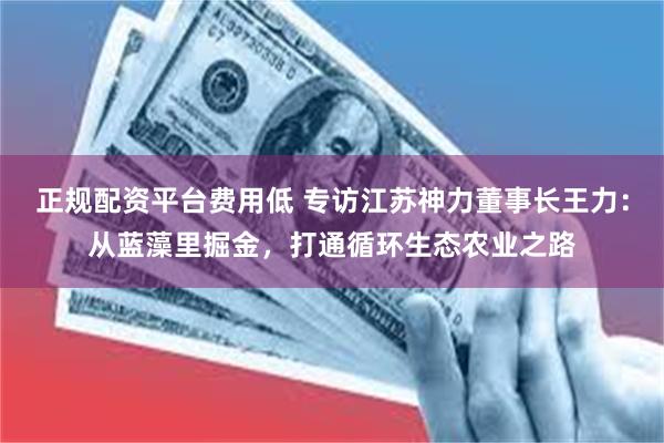 正规配资平台费用低 专访江苏神力董事长王力：从蓝藻里掘金，打通循环生态农业之路