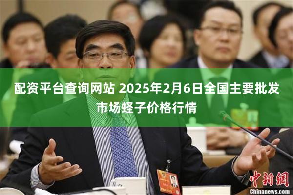 配资平台查询网站 2025年2月6日全国主要批发市场蛏子价格行情