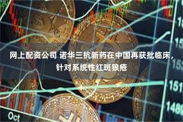 网上配资公司 诺华三抗新药在中国再获批临床，针对系统性红斑狼疮