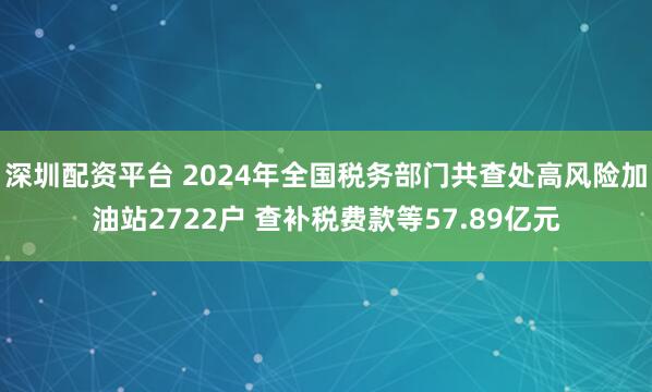 深圳配资平台 2024年全国税务部门共查处高风险加油站2722户 查补税费款等57.89亿元