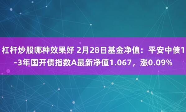 杠杆炒股哪种效果好 2月28日基金净值：平安中债1-3年国开债指数A最新净值1.067，涨0.09%