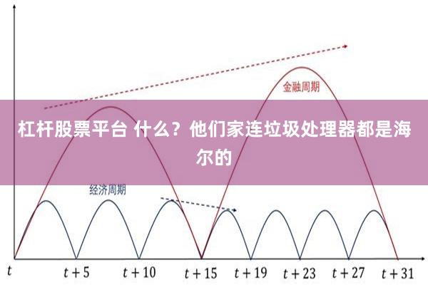 杠杆股票平台 什么？他们家连垃圾处理器都是海尔的