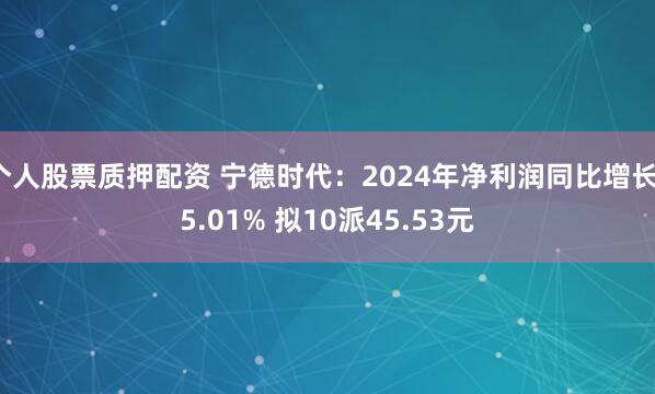 个人股票质押配资 宁德时代：2024年净利润同比增长15.01% 拟10派45.53元