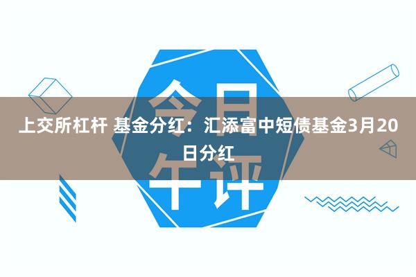 上交所杠杆 基金分红：汇添富中短债基金3月20日分红